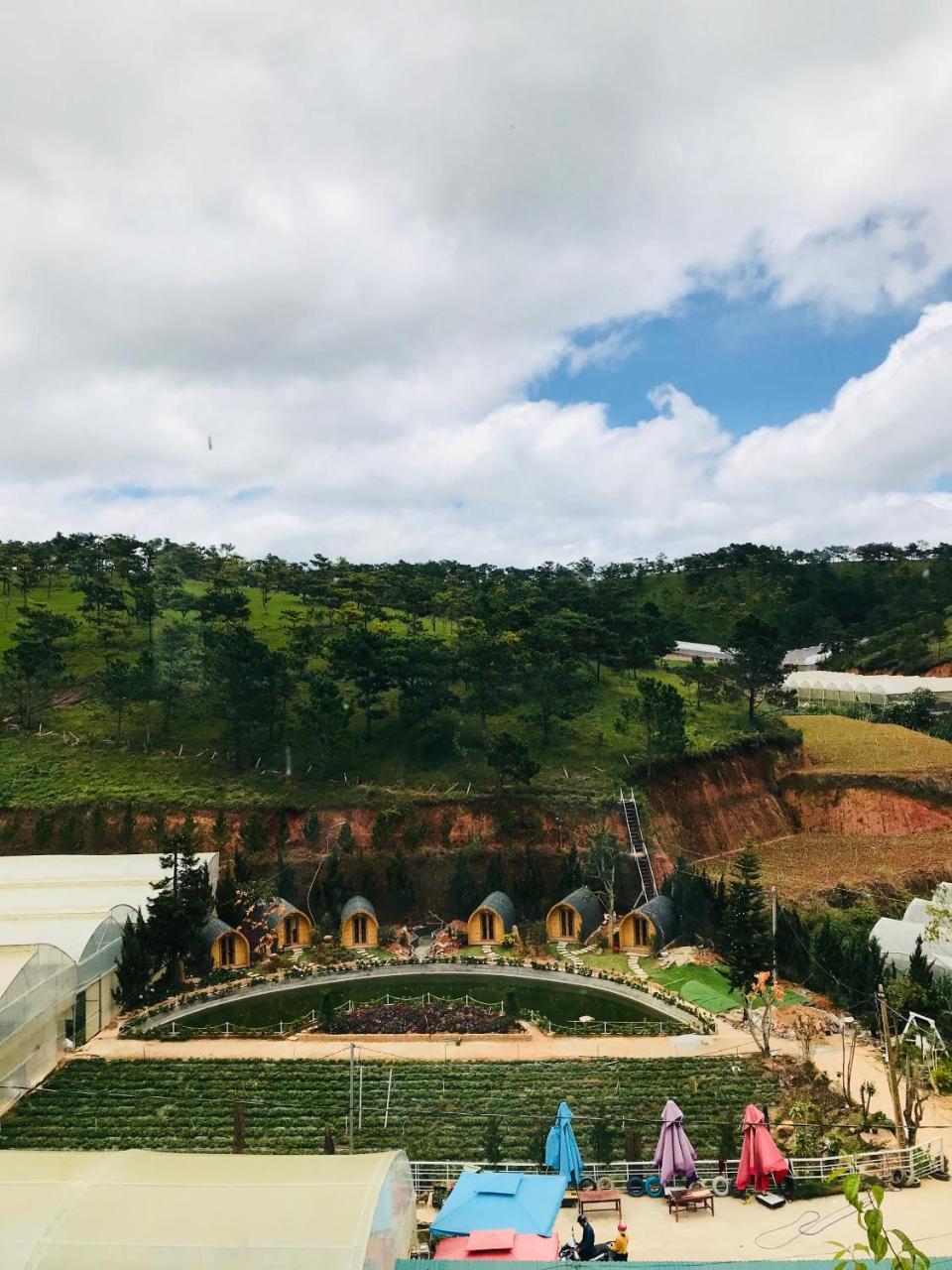 Berry Valley Homestay ダラット エクステリア 写真